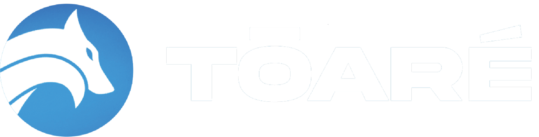 TOARÉ Logo